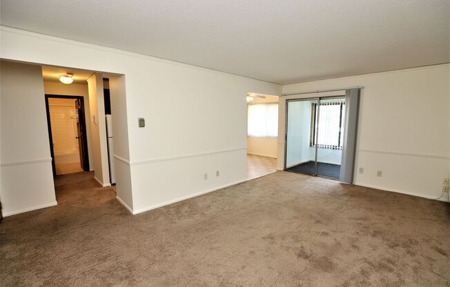 Studio, 1 bath, 600 sqft, $1,025