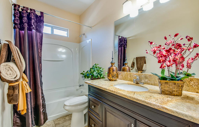 a bathroom with a sink and a toilet and a shower