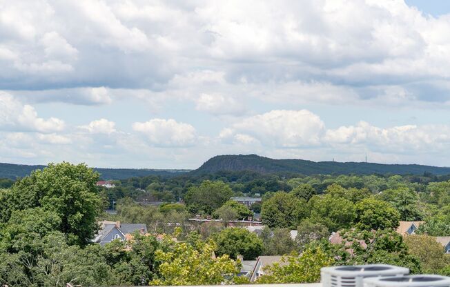 4 beds, 4 baths, 1,610 sqft, $6,900, Unit The Elm - 304