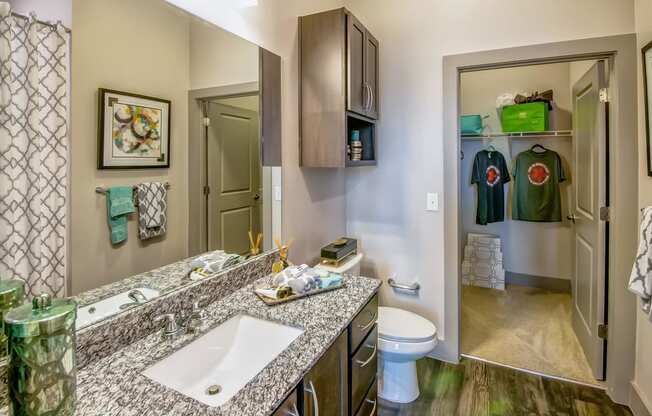 a bathroom with a sink and a toilet and a mirror