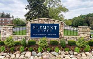 Element on Main Entry