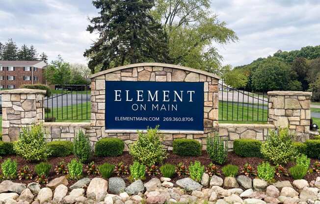 Element on Main Entry