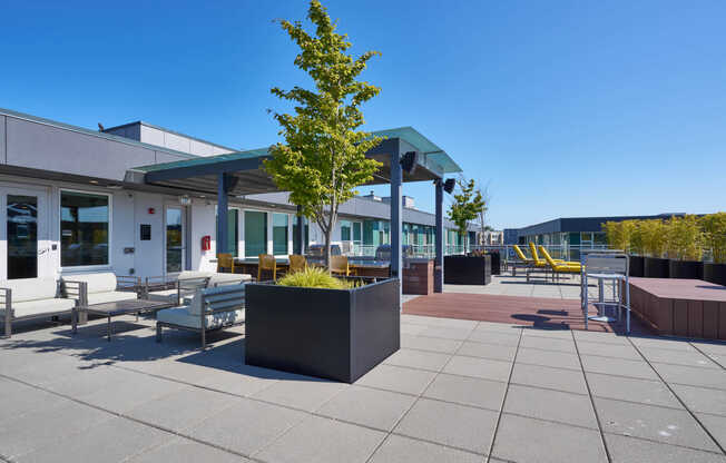 Rooftop Lounge