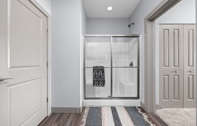 a closet with a glass door and a rug on the floor