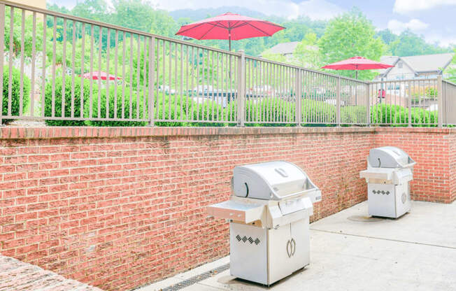 outdoor picnic and grilling area with two grills