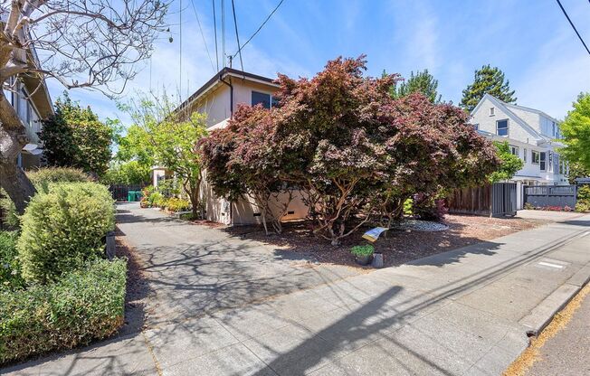 COTTAGE ST 1443