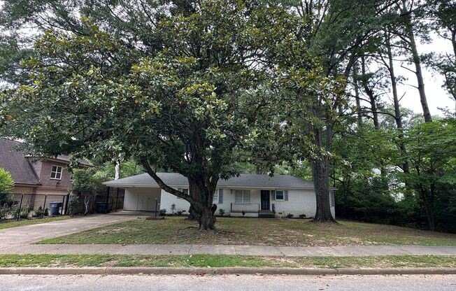 Charming East Memphis home, 3BR/2ba, 1600 sq ft! One dog ok w fees! Fully fenced in back yard.