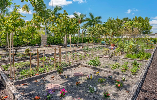 A garden with a variety of plants and flowers.