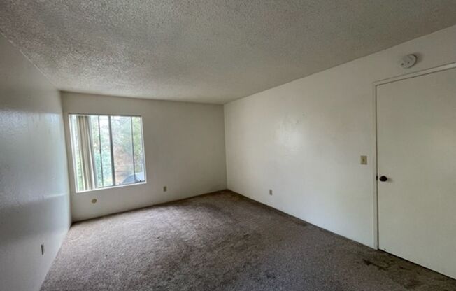 1 bed, 1 bath, $1,895