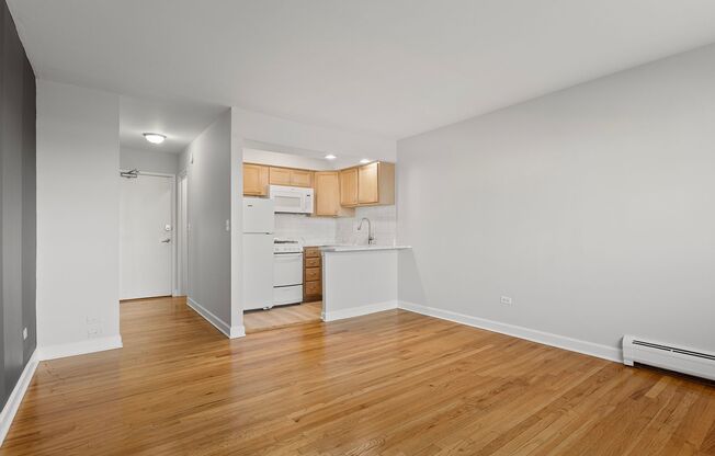 Studio, 1 bath, 298 sqft, $1,450, Unit 541
