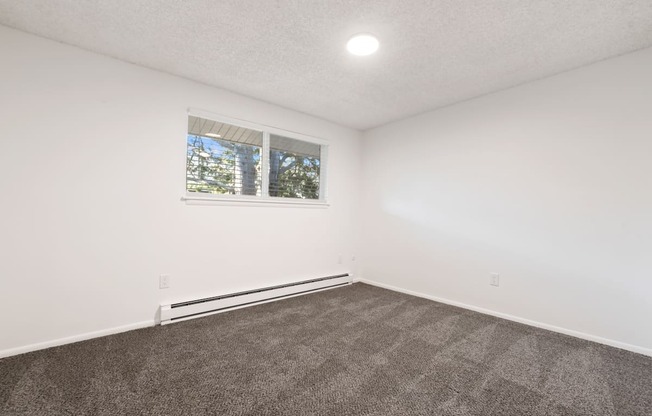 an empty room with carpet and a window