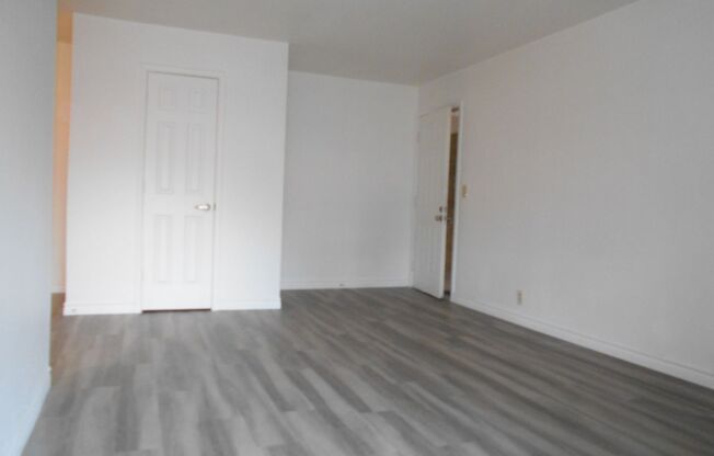 1 bed, 1 bath, $1,250, Unit # 62