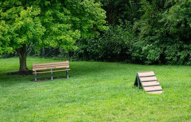 a park bench and a picnic table in a grassy area