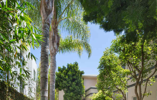 Apartment building courtyard with lush landscaping