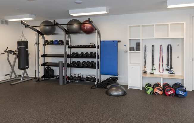 a home gym with a lot of equipment and shelving