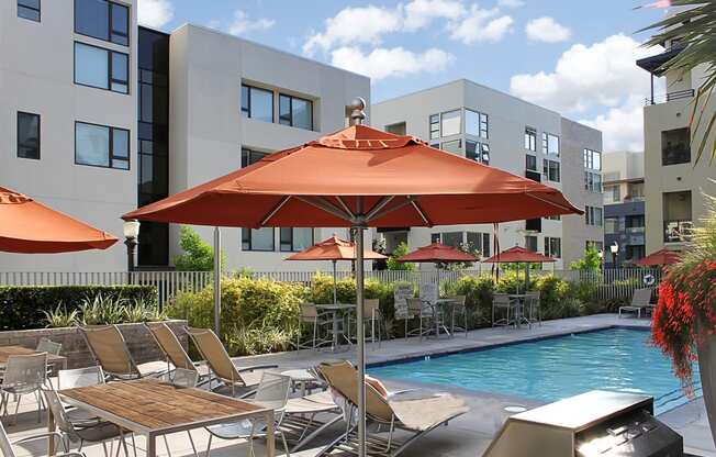 our apartments showcase an unique swimming pool