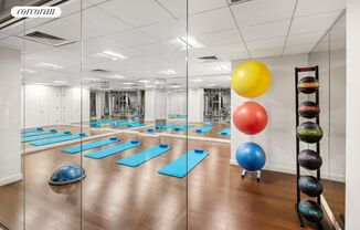 1 bed, 1 bath, 532 sqft, $3,500, Unit 925