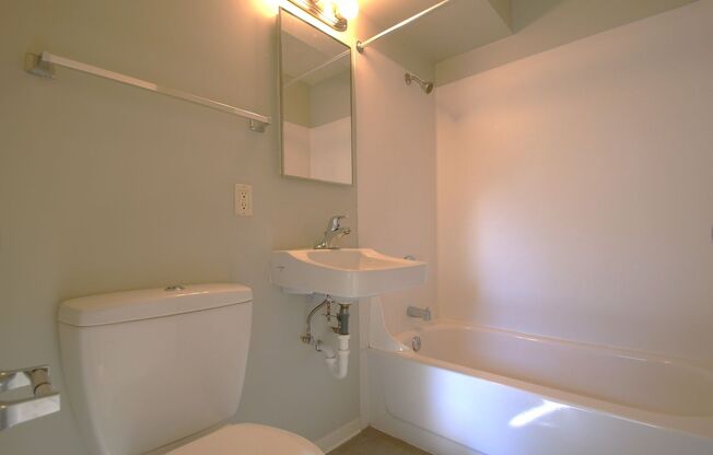 1 bed, 1 bath, 350 sqft, $1,195, Unit 208