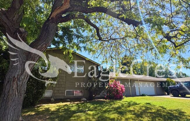 3 Bedroom 2 Bathroom Single Family Home With Great Outdoor Space!!