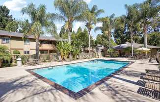 a resort style pool with palm trees and a building in the background