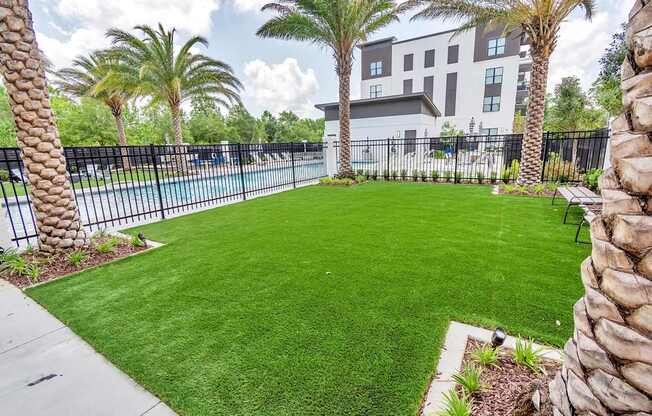 A well-manicured lawn with a pool and palm trees in the background.