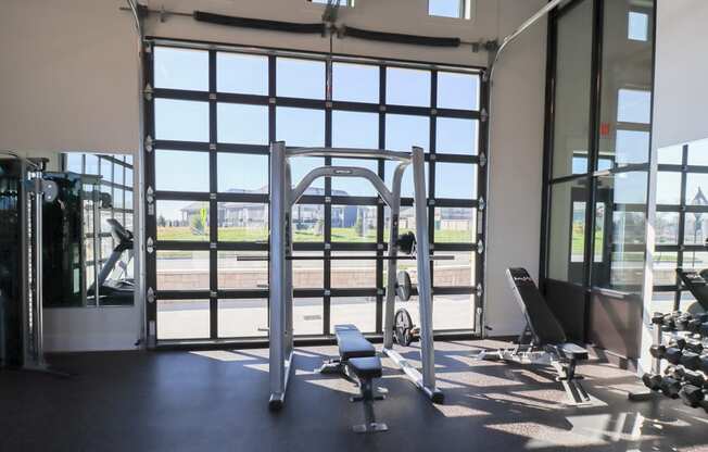 a gym with a large window and weights and cardio equipment