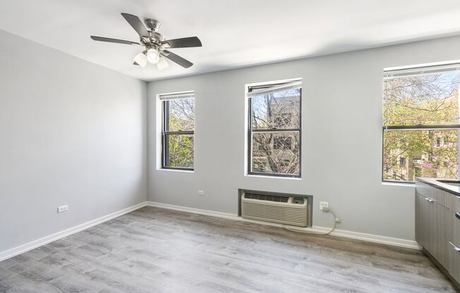 Studio, 1 bath, 242 sqft, $1,550, Unit 403