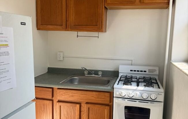 Studio, 1 bath, 487 sqft, $1,300, Unit Fifth 201
