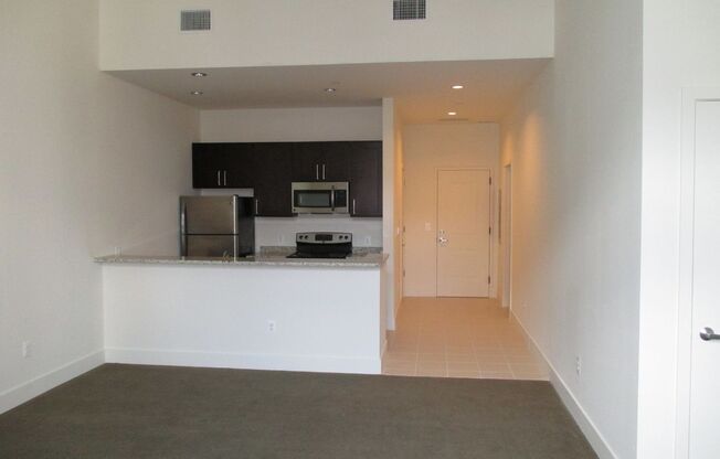 Studio, 1 bath, 596 sqft, $1,000, Unit 102