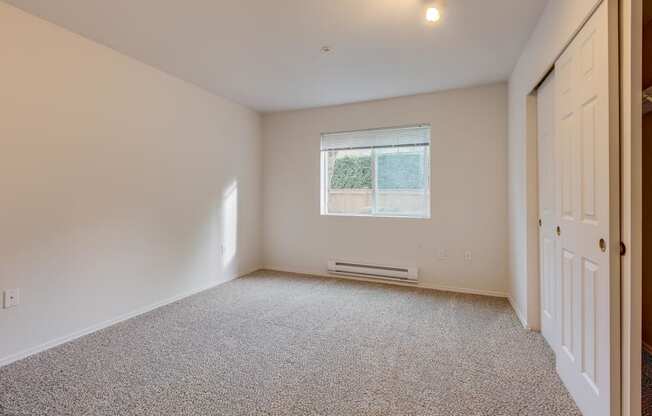 lots of natural light in apartment