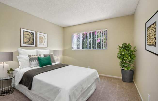 Welcome to Seville Townhouse Apartments