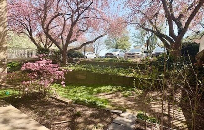 Remodeled 2 BR 1BA in Bethesda. Private front patio. Most utilities included.