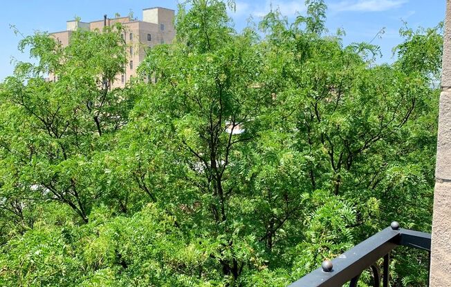 Studio, 1 bath, 300 sqft, $1,695, Unit 530-606