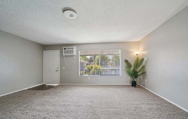 A room with a carpeted floor and a window with blinds.