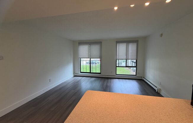 1 bed, 1 bath, 850 sqft, $1,245, Unit 215W