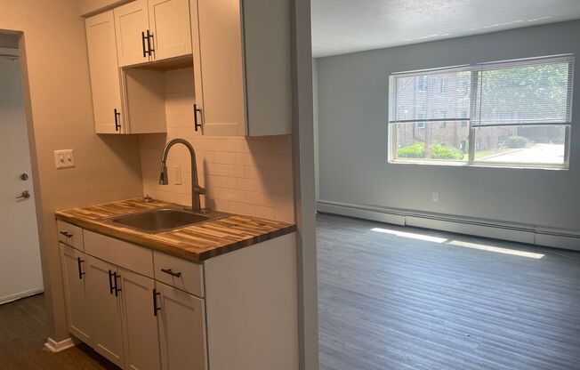 1 bed, 1 bath, 450 sqft, $835, Unit W203