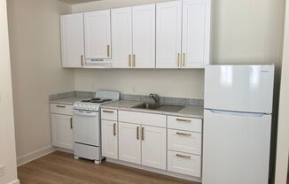 1 bed, 1 bath, 450 sqft, $1,345, Unit 309