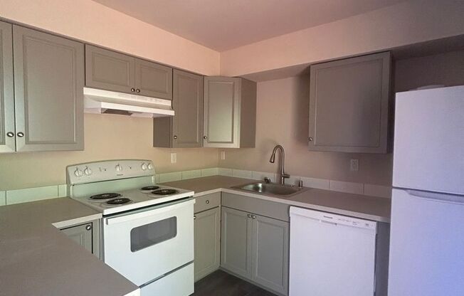 HALF OFF FIRST FULL MONTHS RENT! Completely Remodeled Charming Two Bedroom Lower Level Flat!