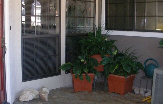 Ground Floor Condo - Available For Lease!