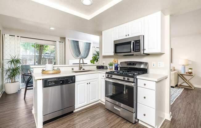 The Cascades Apartments stainless steel appliances