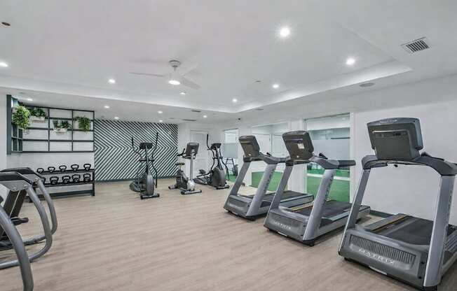 A gym with treadmills, elliptical machines, and dumbbells.