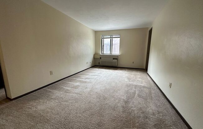 Cozy One Bedroom with Beautiful Exposed Brick! Off-Street Parking & Laundry Included!