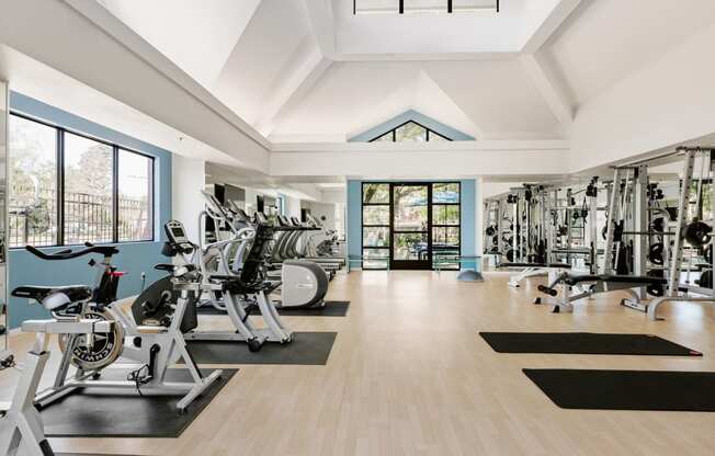 the gym has plenty of exercise equipment and windows