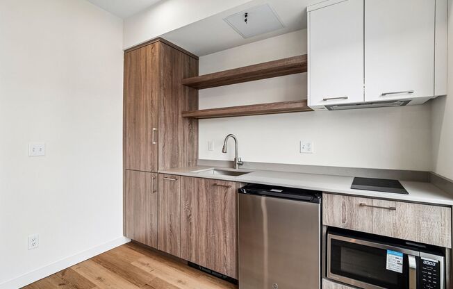 Studio, 1 bath, 250 sqft, $1,204, Unit 102