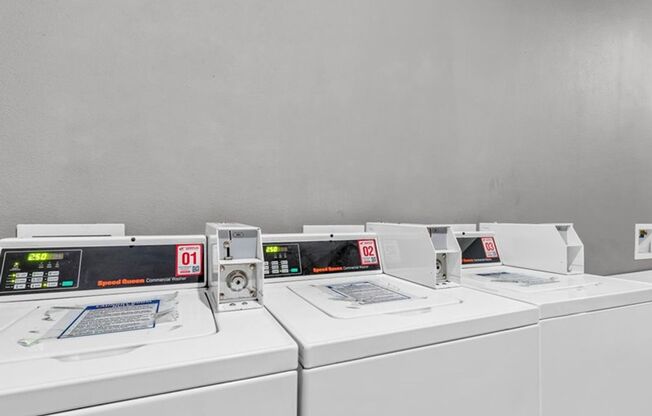 1 bed, 1 bath, 515 sqft, $950, Unit 220