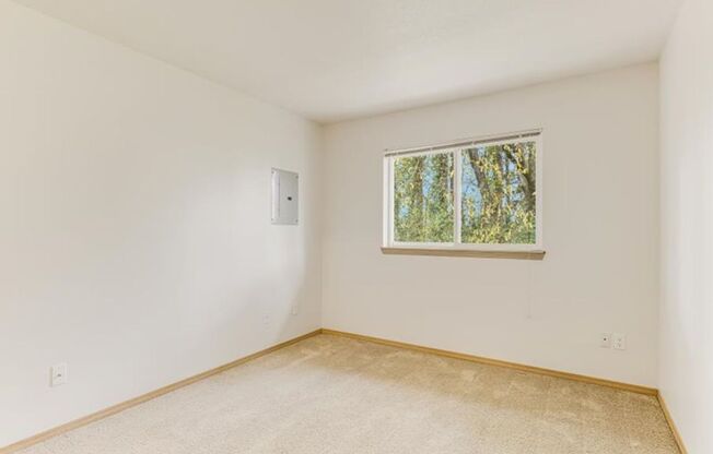 1 bed, 1 bath, 547 sqft, $1,200, Unit 41