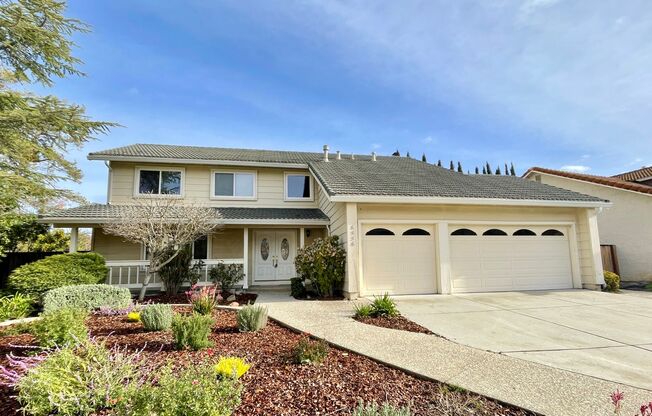 Immaculately Remodeled 5 Bedroom 2.5 Bath Almaden Gem