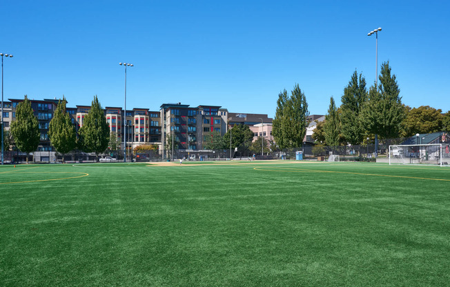 Play or Catch a Game at Cal Anderson Park