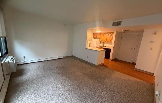 1 bed, 1 bath, 750 sqft, $1,095, Unit 203E