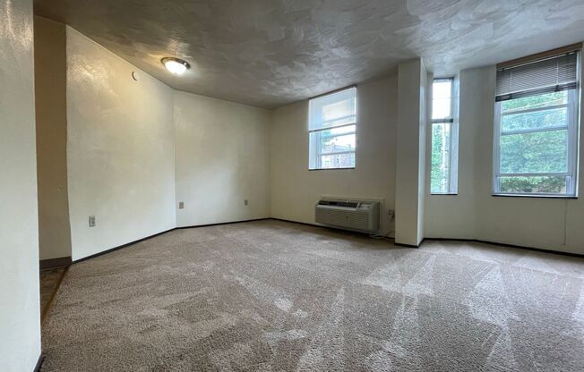 Spacious 2BR On Bates Street - Walking Distance to Pitt Campus Buildings & Forbes Ave! Call Today to Tour!